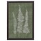 12" x 16" Woodland Ferns I Framed Wall Art, Contemporary Nature Home Décor, Glass Facing and Hanging Hardware Included